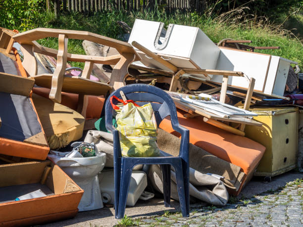 Yard Cleanup Services in Valencia, NM